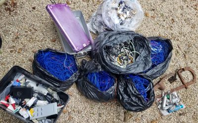 Tri de la dernière collecte